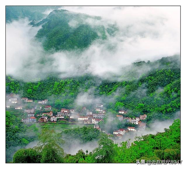 浙江安吉:有落户浙江潜力较大县级市的想法，希望浙江朋友推荐几个地方？