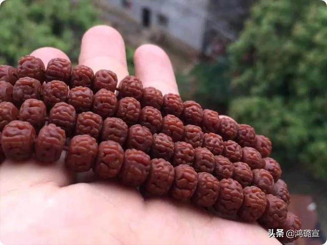 小懒猴价格:想入手一串小金刚，应该从哪里买？价格选多少的合适？