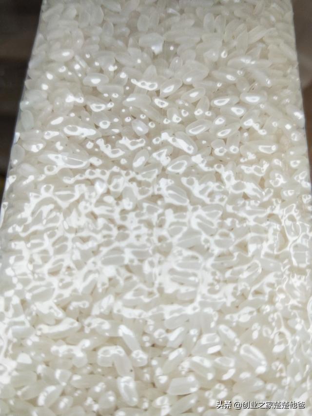 秋田蕗种植技术:在农村种植水稻，哪个品种产量高，米饭又好吃？