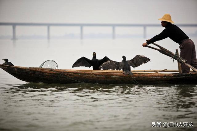 伏尔加河的鱼的个人主页:早春钓鱼时，天气明明很好气温也稳定，为什么基本上没鱼口呢？