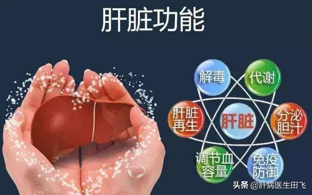 组织胞浆菌病致死率:哪些原因会引起肝功能异常？