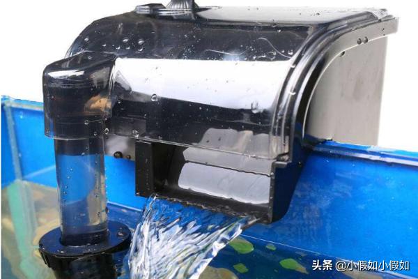 鱼缸水浑浊原因和解决方案:快速解决家中鱼缸水混的4点方法？