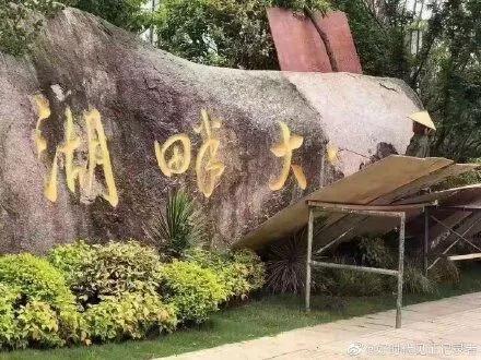 章之怡:继“马云大学”被铲后，章子怡又出事儿了，明星为何屡教不改？
