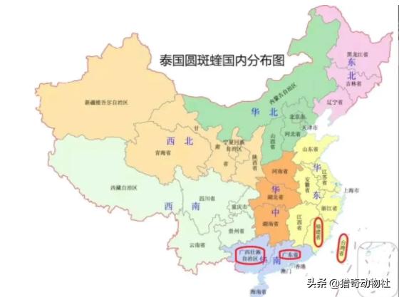 深圳厕所灵异事件:大家半夜起来上厕所，发生的最诡异的事是什么？