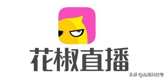 大尺度直播平台有哪些APP(大尺度直播平台有哪些app排行榜)