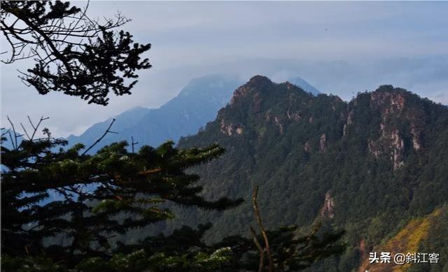 成都骑龙小区属于哪个区，成都的近郊哪个区县居住生活最方便