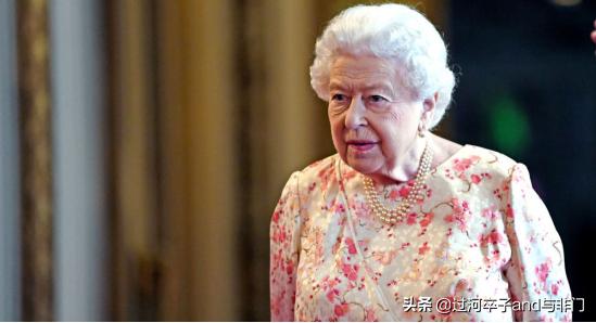 英国女王的狗狗:宠物纠纷，狗狗咬死了别人家的狗狗。我该怎么处理？