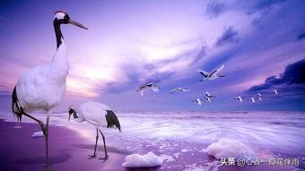 我是演说家张雪峰:综艺《我是演说家》里的哪些演讲最打动人？
