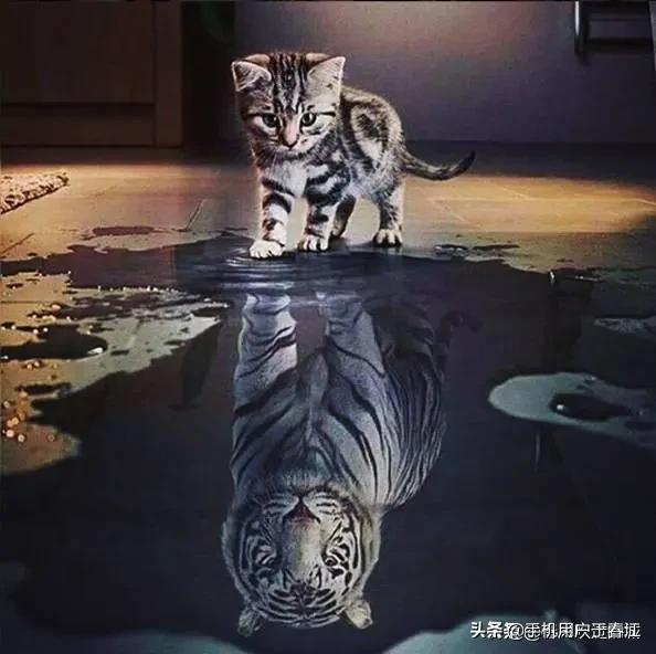 你们知道的男人不良嗜好有哪些？