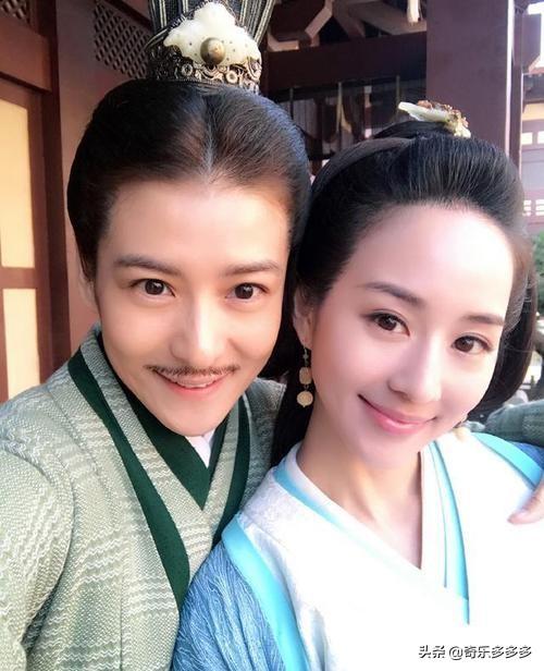 为什么《军师联盟之虎啸龙吟》里的何驸马要用女人来演？