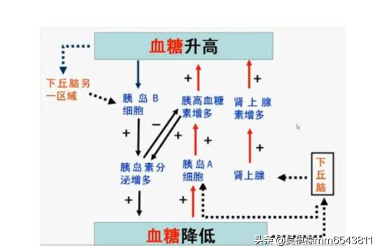 鼻翼两侧长痘怎么办(鼻翼两侧长痘怎么解决)