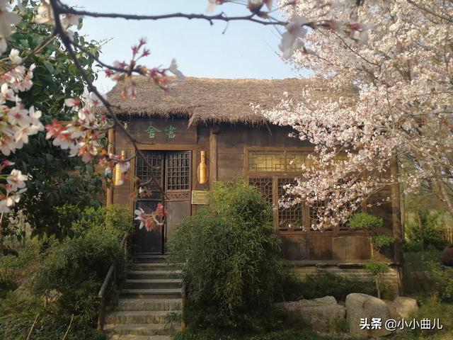 张信哲个人资料:有哪些初听不识曲中意再问已是曲中人的作品