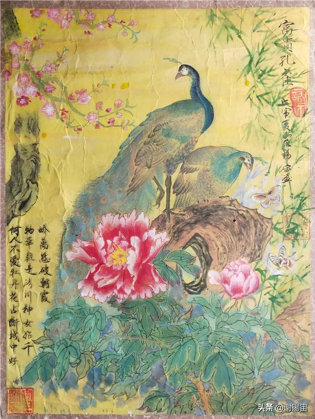 能分享下你画的画吗？
