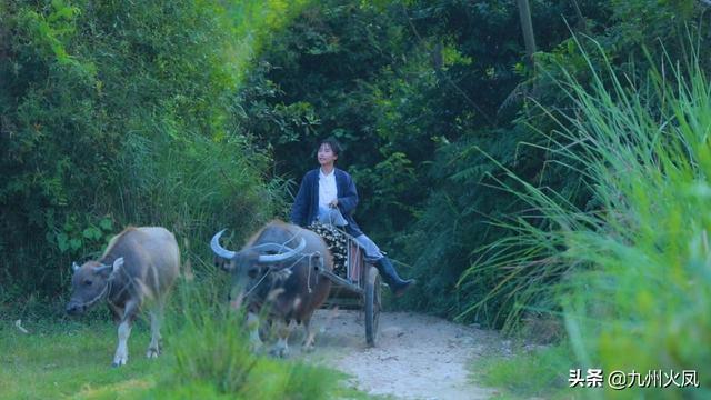 七舅脑爷个人资料:自媒体大咖是怎么成长起来的？