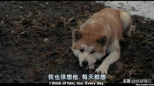 小犬与女孩 迅雷下载:有什么催泪电影推荐吗？最好是关于动物的？