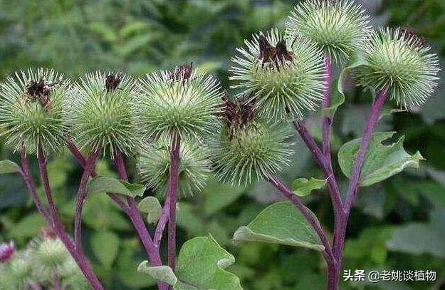 粘住:粘住是读zhan还是nian 粘纸不粘了，怎么才能再粘住？