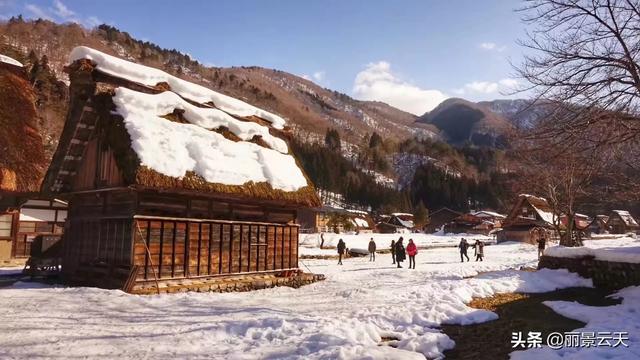 小狗被染成皮卡丘九州天空城:日本有哪些值得一去的旅游景点？