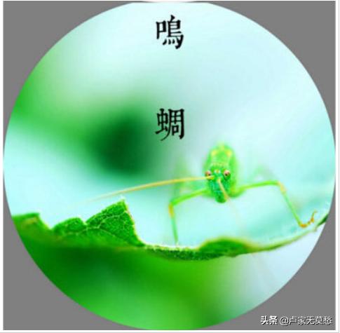 12月的英文,1月到12月的英语单词？