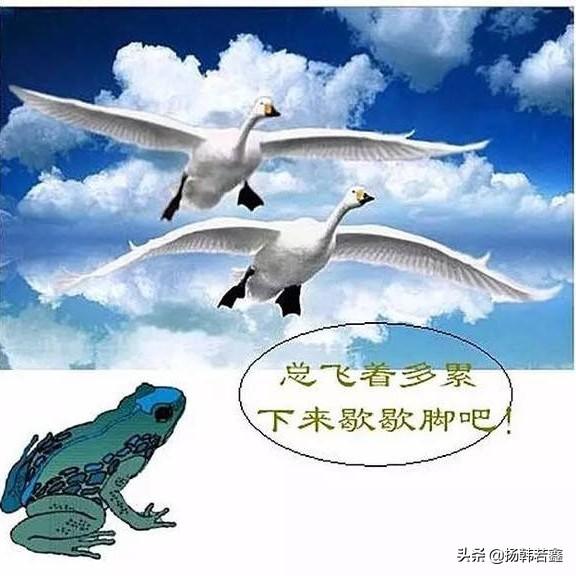 癞蛤蟆想吃天鹅肉,大家怎么看?-百科网