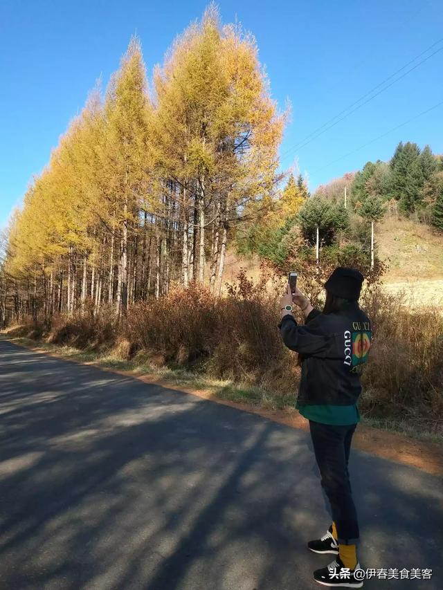 请问大家哪一句歌词感动了你？