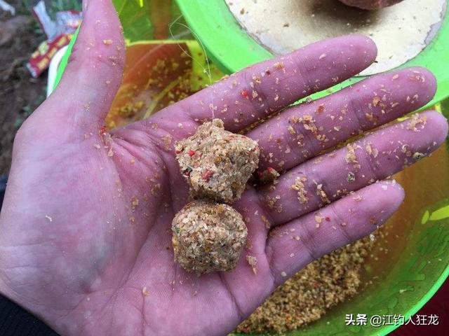 9年前湖中曾出青鱼王212斤:查干湖为什么不大规模养殖淡水虾、河蟹、甲鱼？