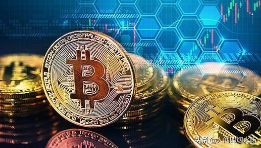 楚天宠物网btc:当初稀里糊涂买了20000枚比特币的人，现在过得怎样？ 58同城宠物网