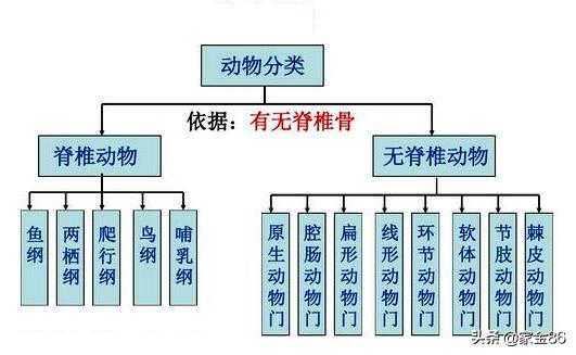 头条问答 动物有没有善恶观念 家金86的回答 0赞