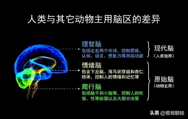 凯安梗碑气不好:为什么说孩子发脾气的时候，家长的第一句话很重要？