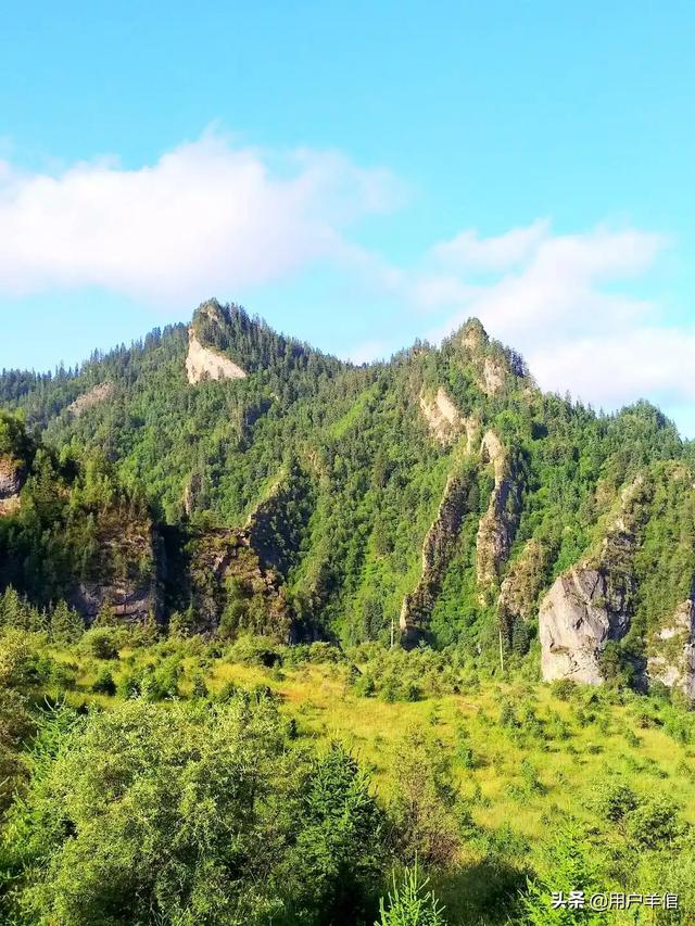 上海李雅:退休之后，你会去上老年大学吗想学什么