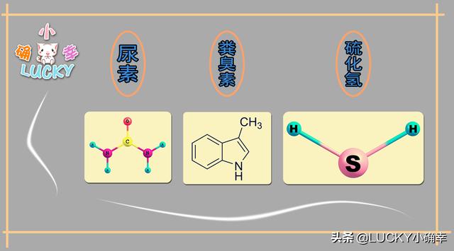 宠物除味剂信息:猫窝用什么消毒水去味？猫窝用消毒水能去味吗？ 宠物除味剂有用吗