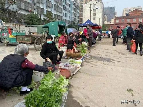 男子谋生杀猫卖钱细节曝光:为何在农村经常看到老年人出来摆摊卖菜？