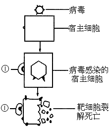 a仡宠星球宠物专家:科普一下，病毒如何从动物中传染给人类？