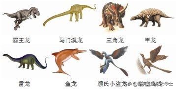 恐龙的资料大全，恐龙有多少种，那个时候有人吗，谁能打得过恐龙