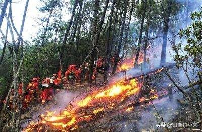 西昌火灾现场灵异事件:3月30日四川西昌发生森林火灾，情况怎么样了？