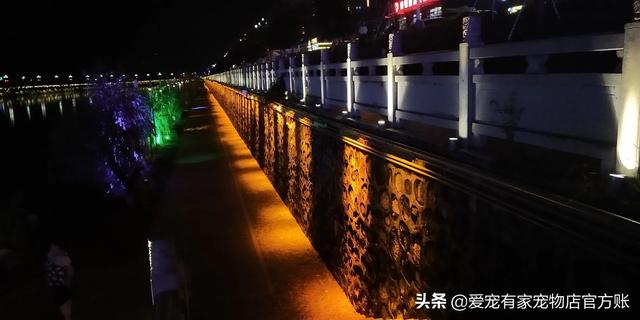 狗身上的吸血虫会到人身上吗:狗身上的跳蚤会到人身上吗？