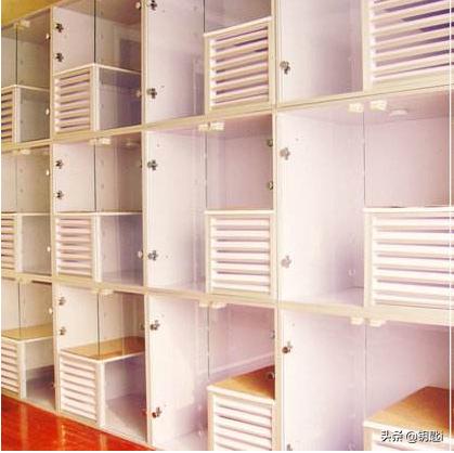 地中海孟加拉猫舍:开猫舍需要怎样的精力投入？