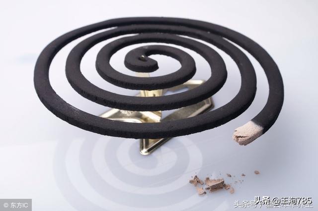 潮湿虫是益虫还是害虫:磁砖缝里有潮湿虫出来怎么办？