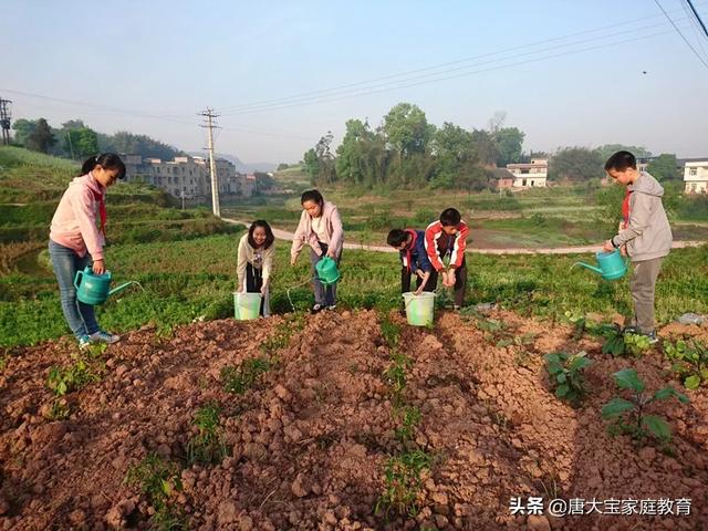 那些从小就参加各种培训班，提前抢跑的孩子，后来都怎么样了？插图12