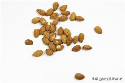 天然粮狗粮排名:有哪些比较平价而且挺好的狗粮？