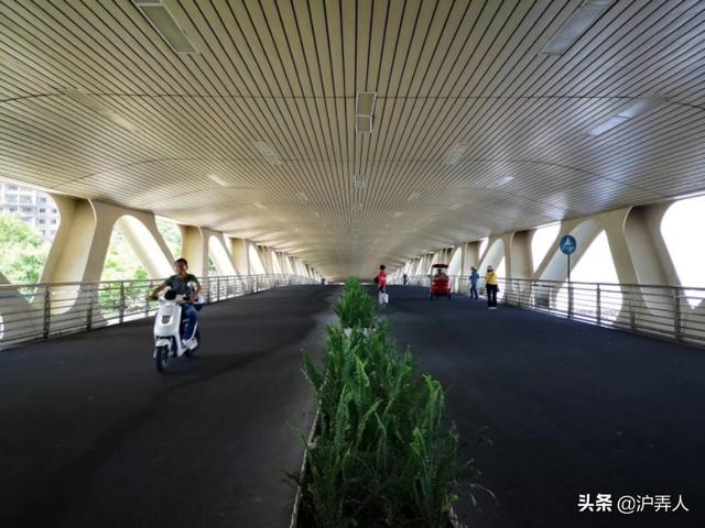 为什么喜欢上海？