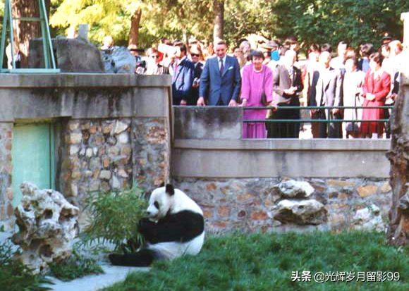 北京宠物:有谁知道北京朝阳区哪里有正规狗市的？ 北京宠物市场在哪