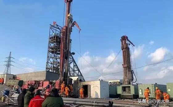 搜救犬阿虎:搜救犬阿虎的片头曲 三只比特犬和一只孟加拉虎关在一个笼子里，会有什么样的结果？