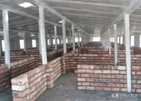 有哪些“看上去不起眼，没想到是大案”的案件？