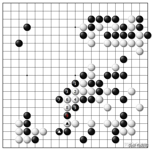 臧獒比赛:藏獒 藏獒能灭老虎和狼，为什么没有列为国家保护动物？