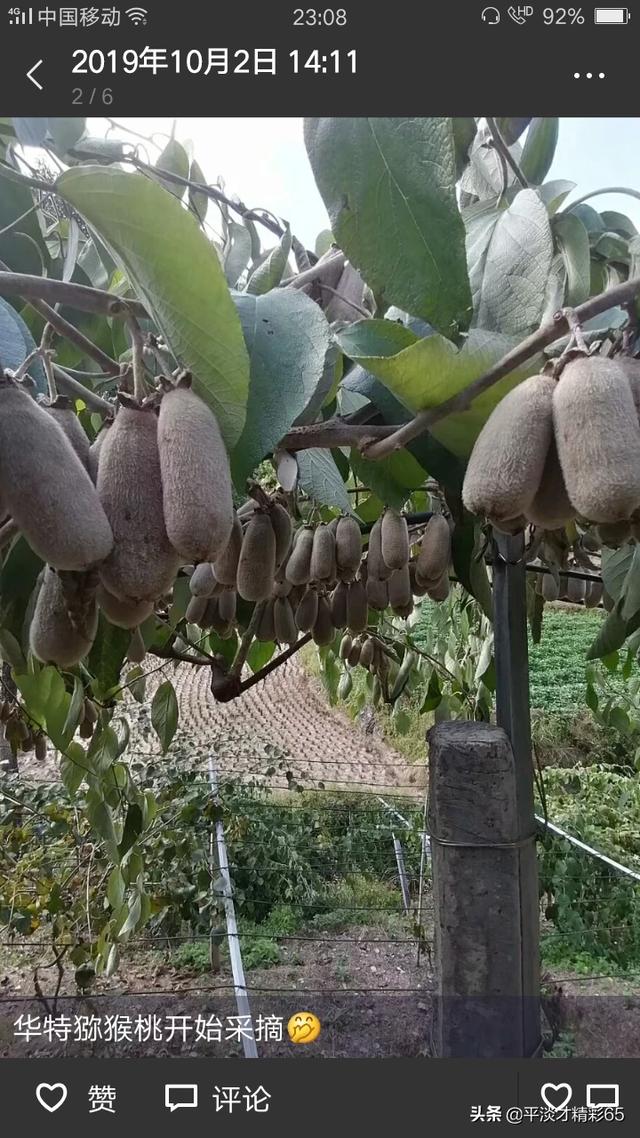 打工回农村老家,现在适合种植养殖什么好赚钱？