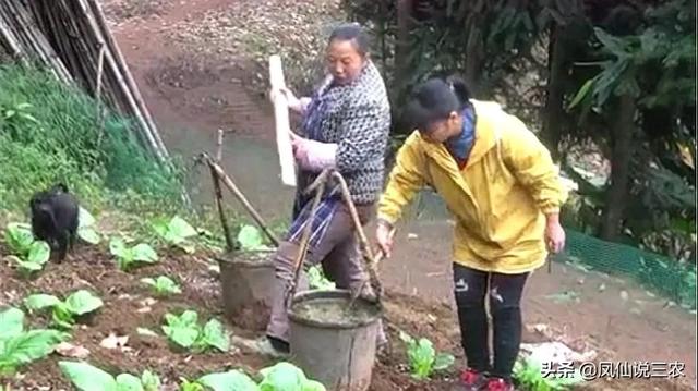 马嘉诚:2019年去澳洲留学，怎样申请澳洲高中奖学金
