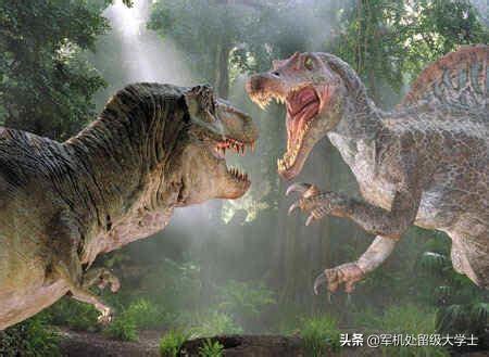 河马vs牛鲨:霸王龙和棘背龙哪个厉害？