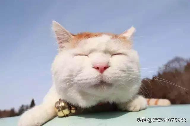 猫叔图片:帝都存款500万，还有5年多退休，孩子大学，需要焦虑吗？