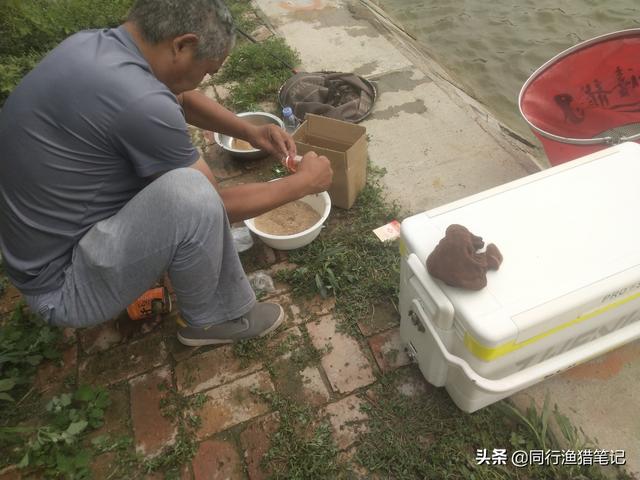 垂钓前,如何判断使用偏香还是偏腥的饵料？