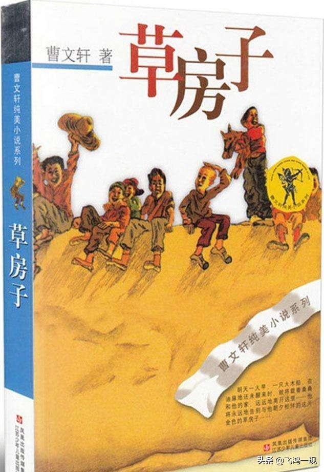 你觉得草房子的桑桑是个怎样的孩子